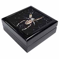 Spider on His Dew Drop Web Craft Keepsake/Jewellery Box
