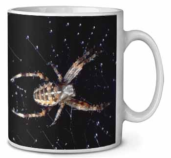 Spider on His Dew Drop Web Craft Ceramic 10oz Coffee Mug/Tea Cup