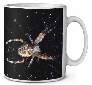 Spider on His Dew Drop Web Craft Ceramic Coffee Mug/Tea Cup