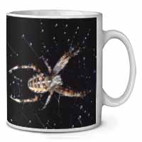 Spider on His Dew Drop Web Craft Ceramic 10oz Coffee Mug/Tea Cup