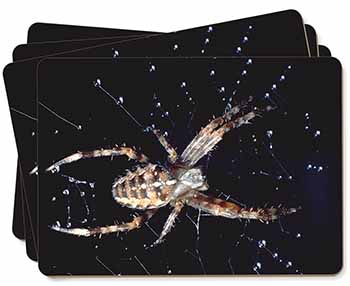 Spider on His Dew Drop Web Craft Picture Placemats in Gift Box