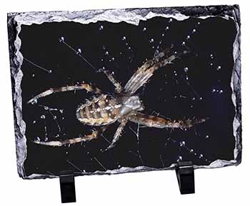 Spider on His Dew Drop Web Craft, Stunning Photo Slate