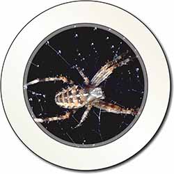 Spider on His Dew Drop Web Craft Car or Van Permit Holder/Tax Disc Holder