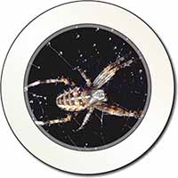 Spider on His Dew Drop Web Craft Car or Van Permit Holder/Tax Disc Holder