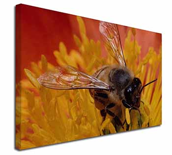 Honey Bee on Flower Canvas X-Large 30"x20" Wall Art Print
