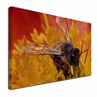 Honey Bee on Flower Canvas X-Large 30"x20" Wall Art Print