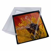 4x Honey Bee on Flower Picture Table Coasters Set in Gift Box