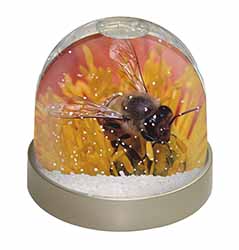 Honey Bee on Flower Snow Globe Photo Waterball