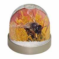 Honey Bee on Flower Snow Globe Photo Waterball