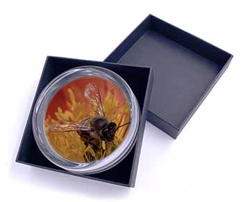 Honey Bee on Flower Glass Paperweight in Gift Box