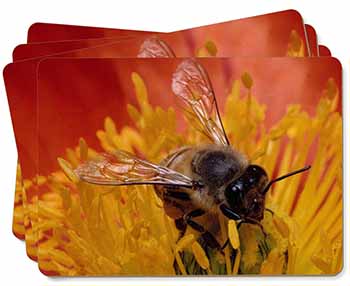 Honey Bee on Flower Picture Placemats in Gift Box
