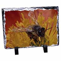 Honey Bee on Flower, Stunning Animal Photo Slate