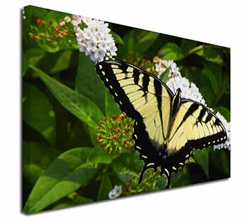 Pretty Black and Yellow Butterfly Canvas X-Large 30"x20" Wall Art Print