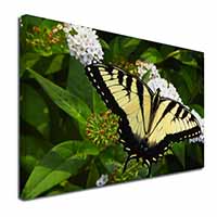 Pretty Black and Yellow Butterfly Canvas X-Large 30"x20" Wall Art Print