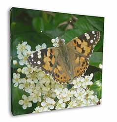 Painted Lady Butterfly Square Canvas 12"x12" Wall Art Picture Print