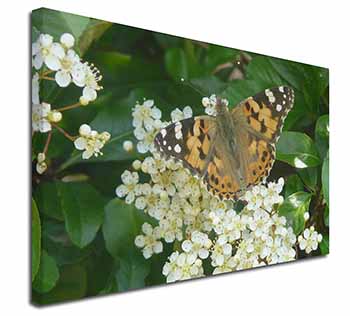 Painted Lady Butterfly Canvas X-Large 30"x20" Wall Art Print