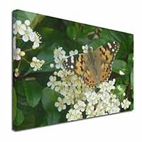 Painted Lady Butterfly Canvas X-Large 30"x20" Wall Art Print