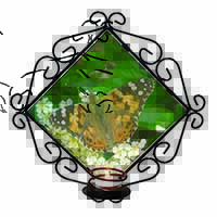 Painted Lady Butterfly Wrought Iron Wall Art Candle Holder