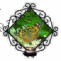 Painted Lady Butterfly Wrought Iron Wall Art Candle Holder