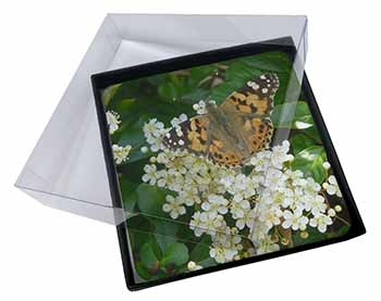 4x Painted Lady Butterfly Picture Table Coasters Set in Gift Box