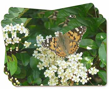 Painted Lady Butterfly Picture Placemats in Gift Box