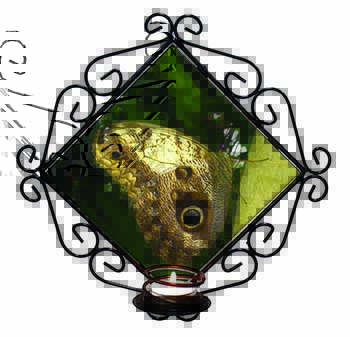 Owl Butterfly on Tree Wrought Iron Wall Art Candle Holder