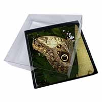 4x Owl Butterfly on Tree Picture Table Coasters Set in Gift Box