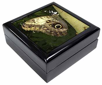 Owl Butterfly on Tree Keepsake/Jewellery Box