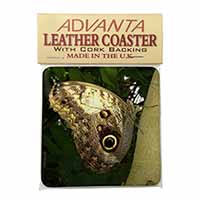 Owl Butterfly on Tree Single Leather Photo Coaster