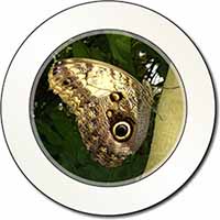 Owl Butterfly on Tree Car or Van Permit Holder/Tax Disc Holder