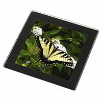 Pretty Black and Yellow Butterfly Black Rim High Quality Glass Coaster