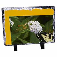 Pretty Black and Yellow Butterfly, Stunning Photo Slate