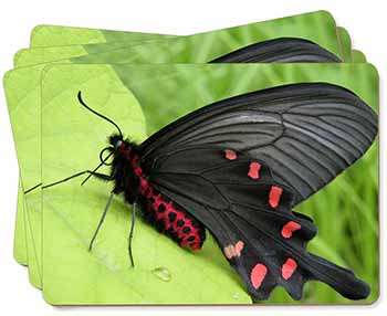 Black and Red Butterflies Picture Placemats in Gift Box