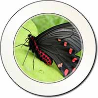 Black and Red Butterflies Car or Van Permit Holder/Tax Disc Holder