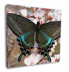 Black and Blue Butterfly Square Canvas 12"x12" Wall Art Picture Print