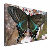 Black and Blue Butterfly Canvas X-Large 30"x20" Wall Art Print