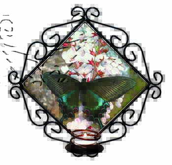 Black and Blue Butterfly Wrought Iron Wall Art Candle Holder
