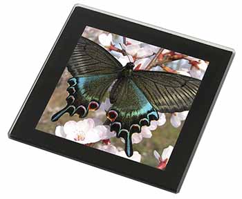 Black and Blue Butterfly Black Rim High Quality Glass Coaster