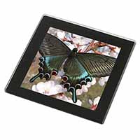 Black and Blue Butterfly Black Rim High Quality Glass Coaster