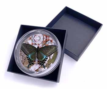 Black and Blue Butterfly Glass Paperweight in Gift Box
