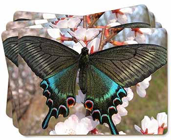 Black and Blue Butterfly Picture Placemats in Gift Box