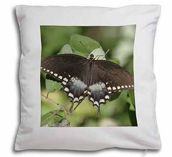 Butterflies, Brown Butterfly Soft White Velvet Feel Scatter Cushion