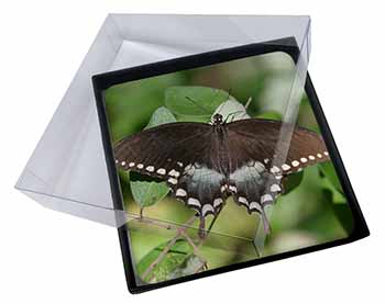 4x Butterflies, Brown Butterfly Picture Table Coasters Set in Gift Box