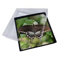 4x Butterflies, Brown Butterfly Picture Table Coasters Set in Gift Box