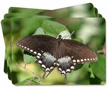 Butterflies, Brown Butterfly Picture Placemats in Gift Box