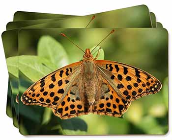 Butterflies, Tiger Moth Butterfly Picture Placemats in Gift Box
