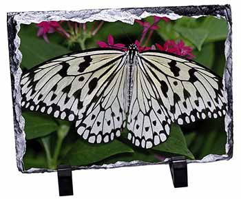Black and White Butterfly, Stunning Photo Slate