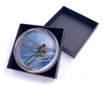 Dragonflies,Dragonfly Over Water,Print Glass Paperweight in Gift Box