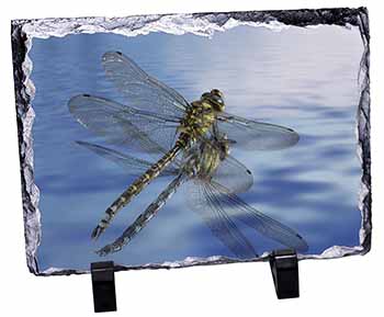 Dragonflies,Dragonfly Over Water,Print, Stunning Photo Slate
