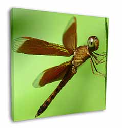 Dragonflies, Close-Up Dragonfly Print Square Canvas 12"x12" Wall Art Picture Pri
